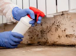 Best Comprehensive Air Testing for Mold Contaminants  in Branchville, SC